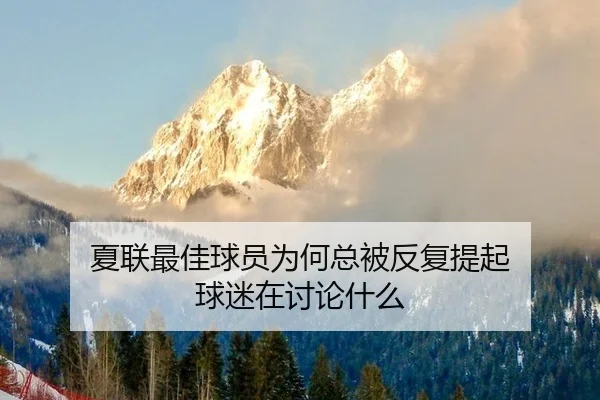 夏联最佳球员为何总被反复提起 球迷在讨论什么
